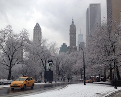 new york tempesta di neve voli cancellati
