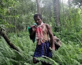 Jadav “Molai” Payeng l uomo che ha piantato una foresta