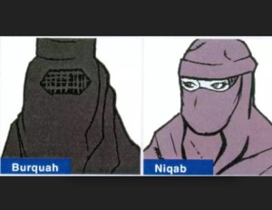 vietati il burquah e il niqab in lombardia le donne devono essere riconoscibili