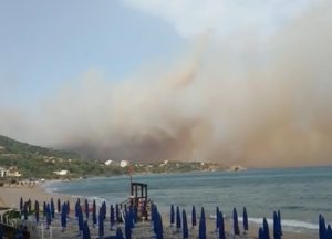 incendi sicilia video immagini ultime notizie